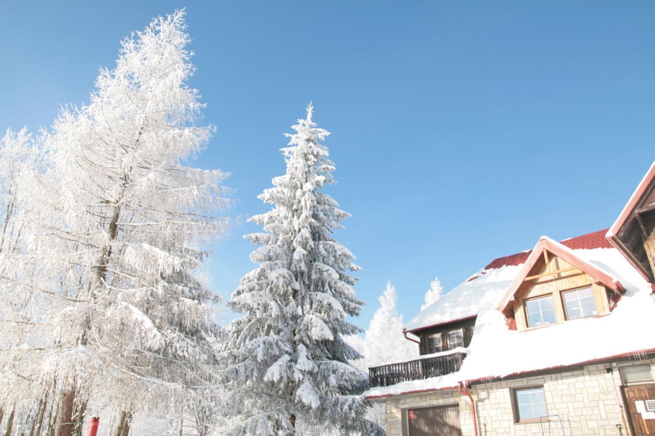 Czajka Bed and Breakfast Szklarska Poręba Exteriör bild